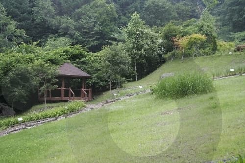 치악산자연휴양림_전망대
