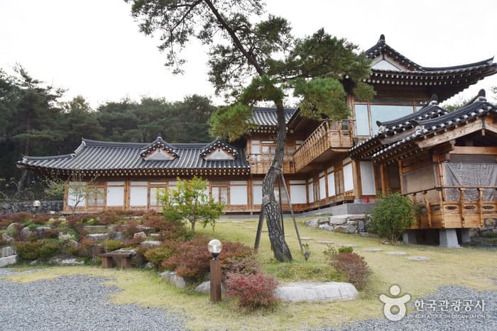 경북_경주_경주천년한옥펜션_전경05