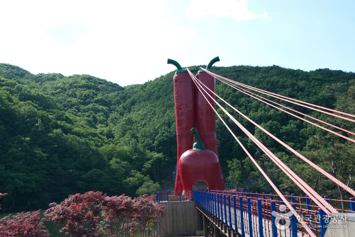 천장호
