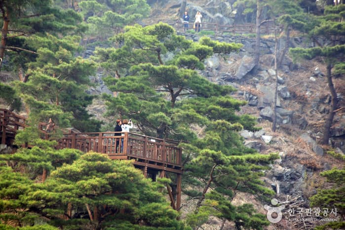 충북_괴산_산막이옛길 걷기16