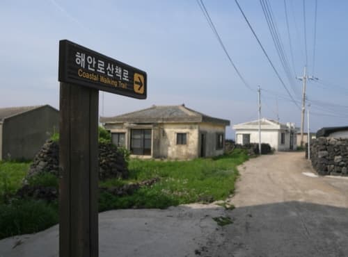 제주 비양도_(8)