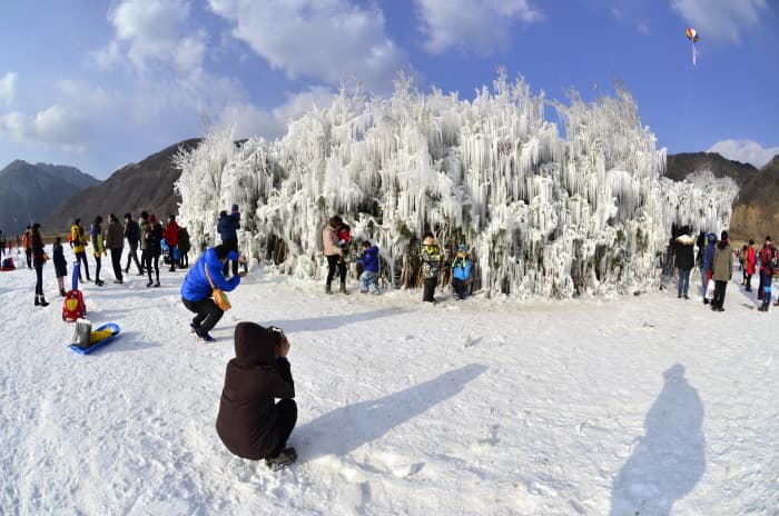 인제빙어축제 2017 (3)