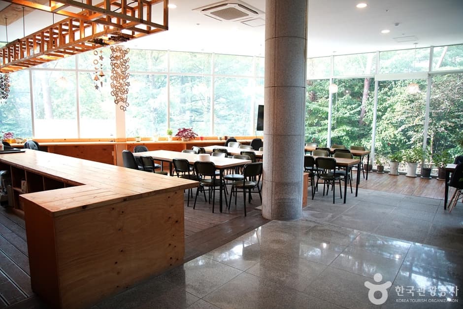 피노키오청소년수련원 (10)
