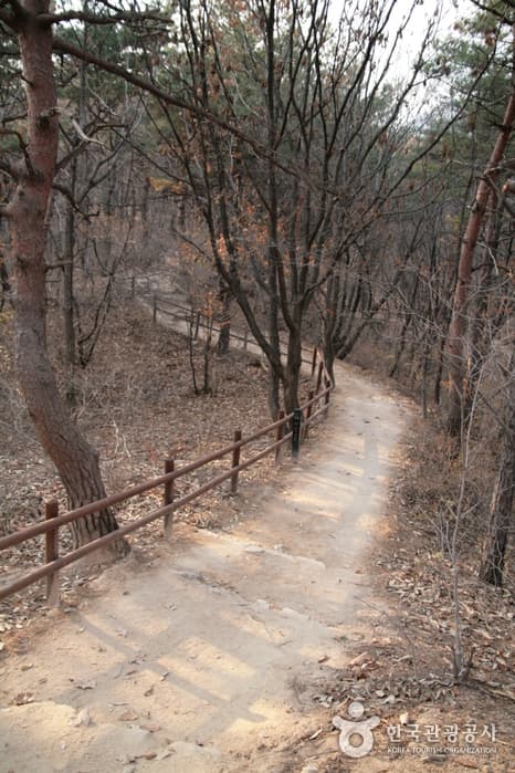 서울 [북한산 둘레길] 1 소나무숲길 02