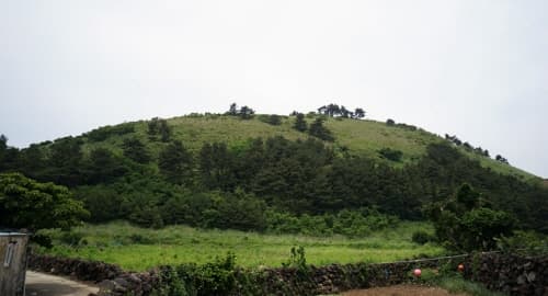 제주 비양도_(5)