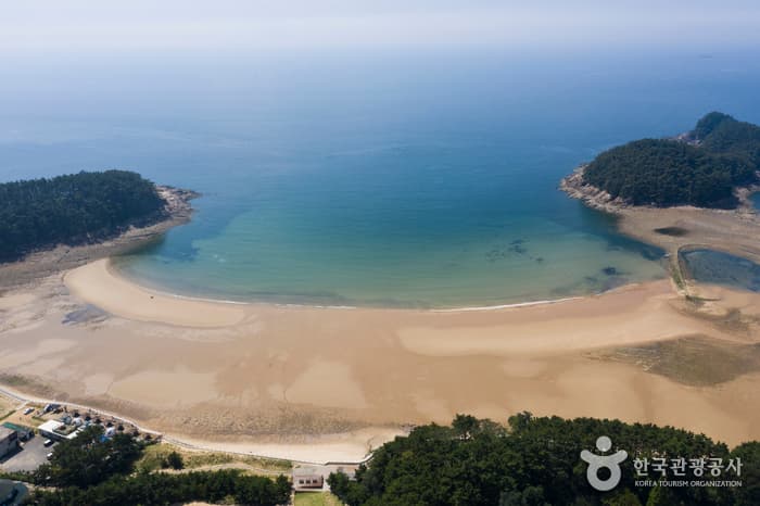 千里浦海水浴场천리포해수욕장