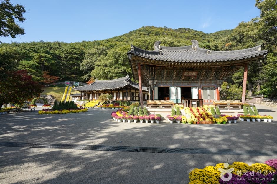 Dorisa Temple (Gumi) (도리사(구미))
