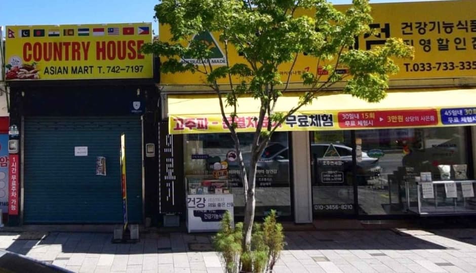 네이쳐스 샐리(원주)