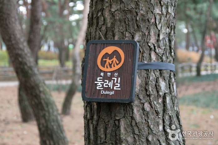 서울 [북한산 둘레길] 1 소나무숲길 03
