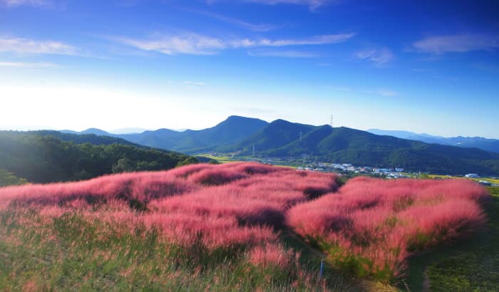 가산수피아_4