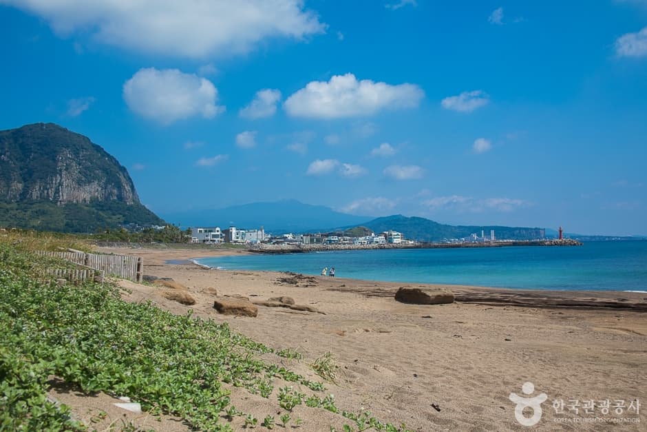 사계해변(7)