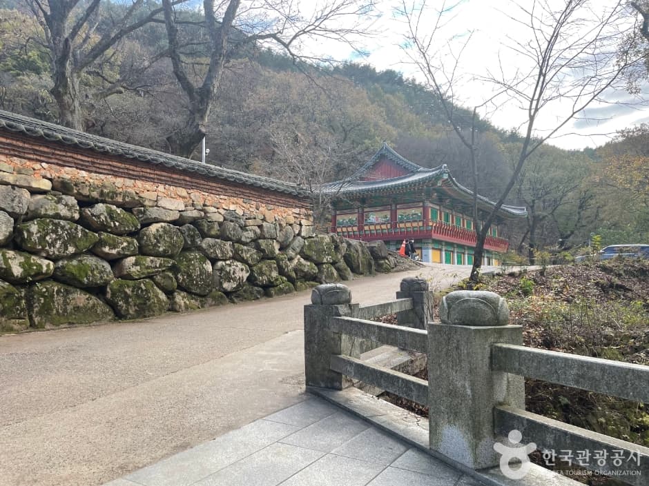 용연사(대구)_3