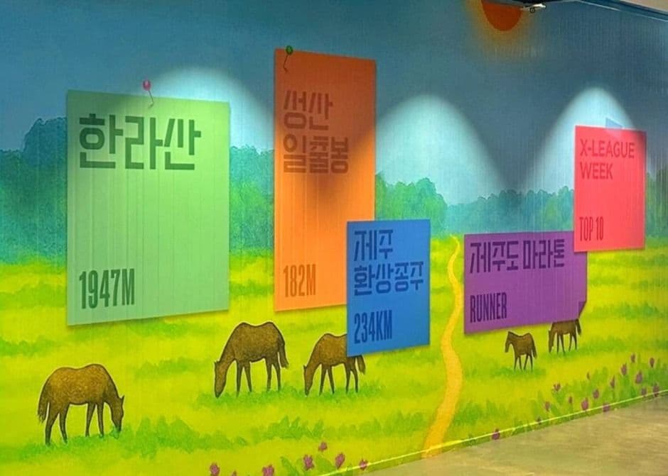 9.81파크 <그래비티 퀘스트 제주>