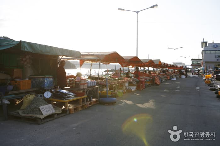 녹동항_19