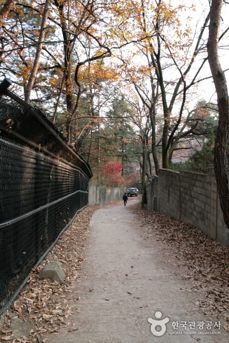 서울 [북한산 둘레길] 1 소나무숲길 04