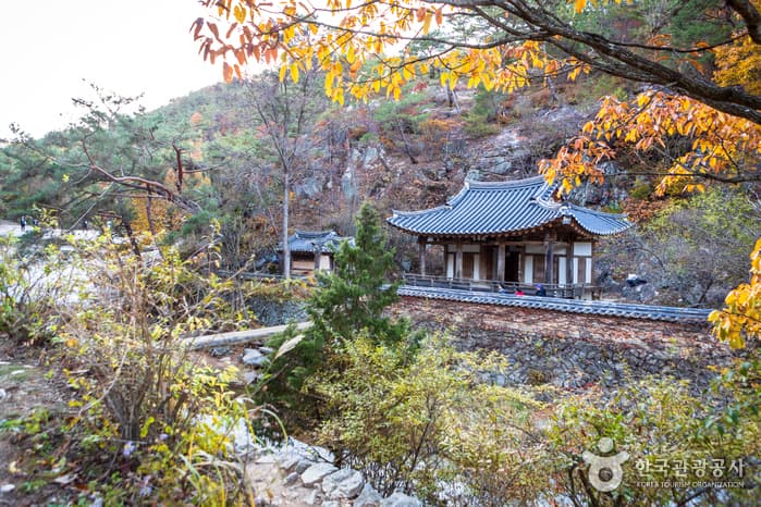 만휴정