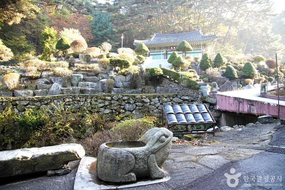 천은사계곡(원주) (15)