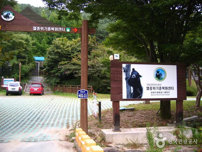 지리산에 깃든 산사의 매력을 느껴보다