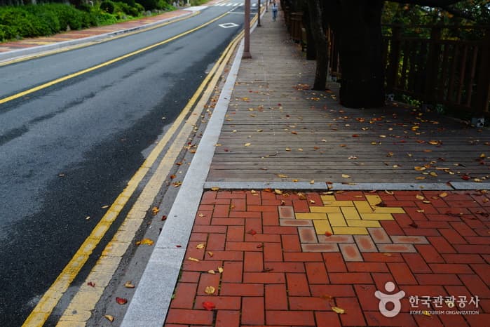 부산_문탠로드06