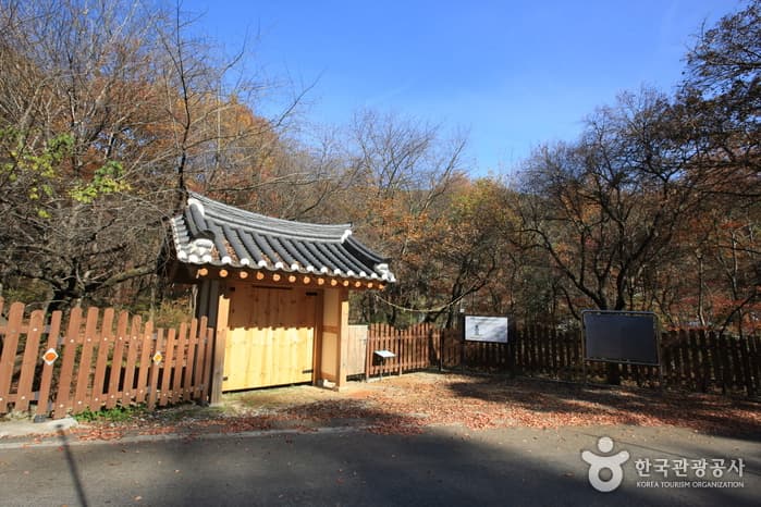 원주 성남리의 성황림