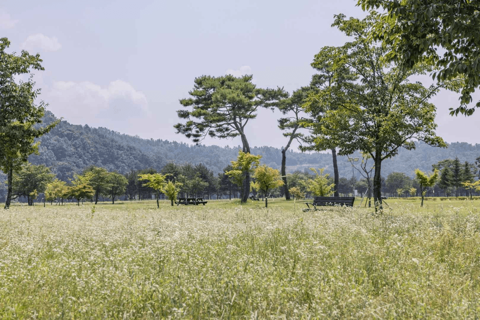 경천섬(경천섬 공원) (2)