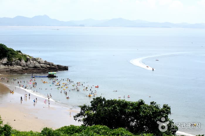 모항갯벌해수욕장_18