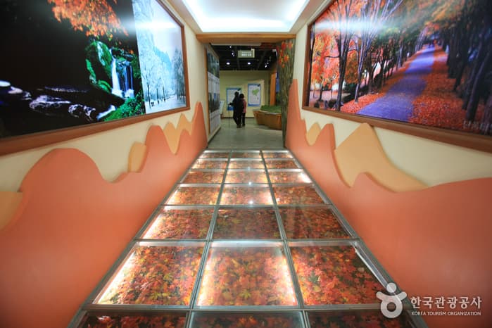 전라북도_정읍시_내장산 탐방안내소_007