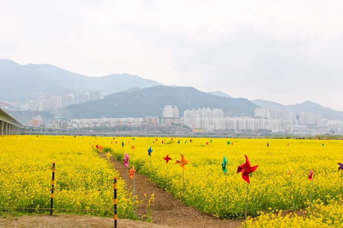 대저생태공원_3