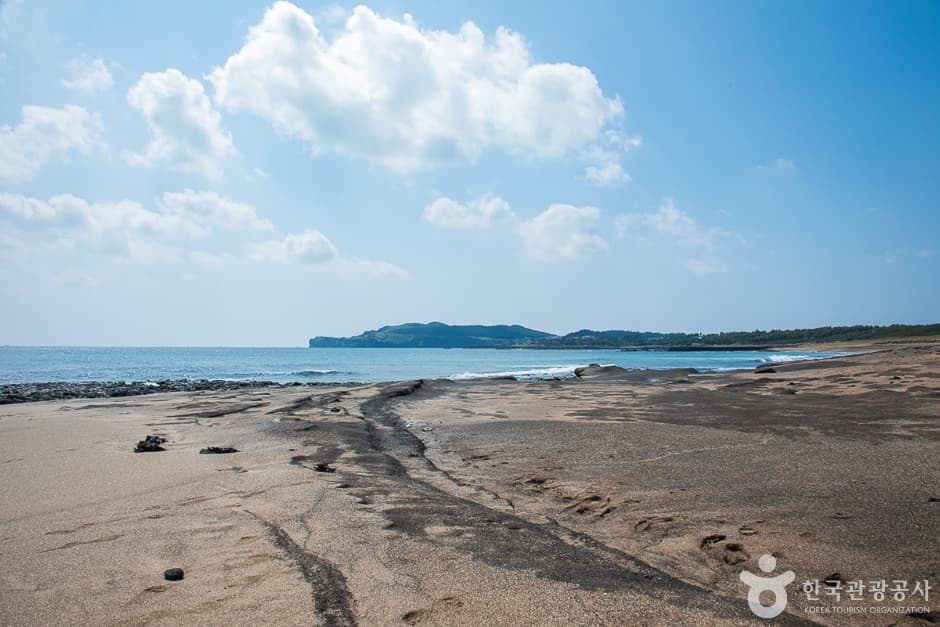 사계해변(10)