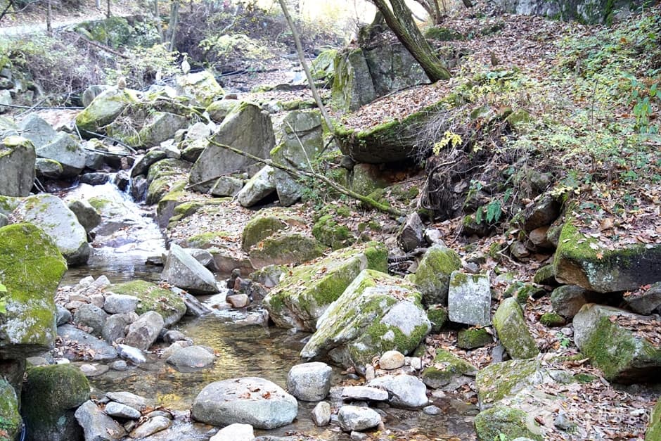 천은사계곡(원주) (17)