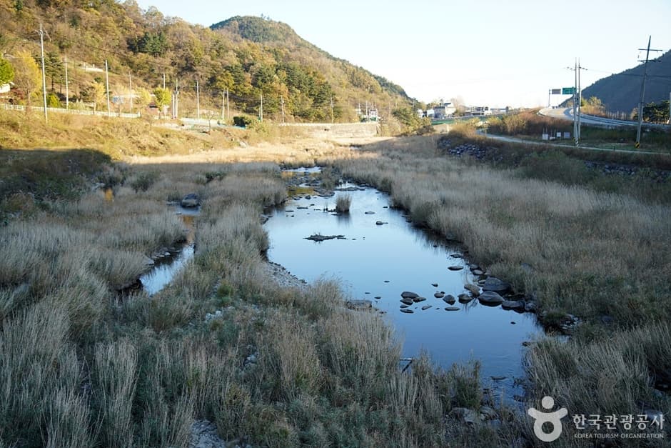 남대천(강릉) (2)