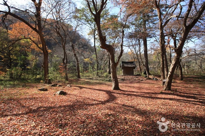 원주 성남리의 성황림