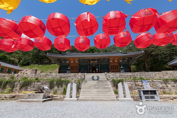 삼화사 템플스테이