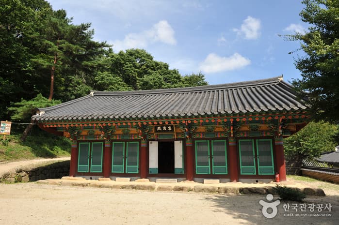 섬진강 뚝방길 걷기