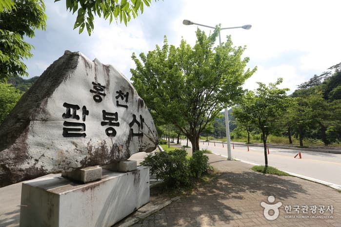 짜릿한 즐거움을 선사하는 가족여행