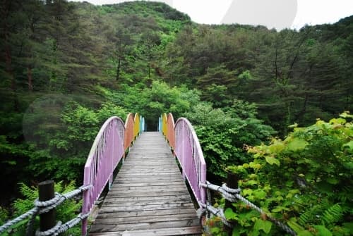 가리왕산자연휴양림_09