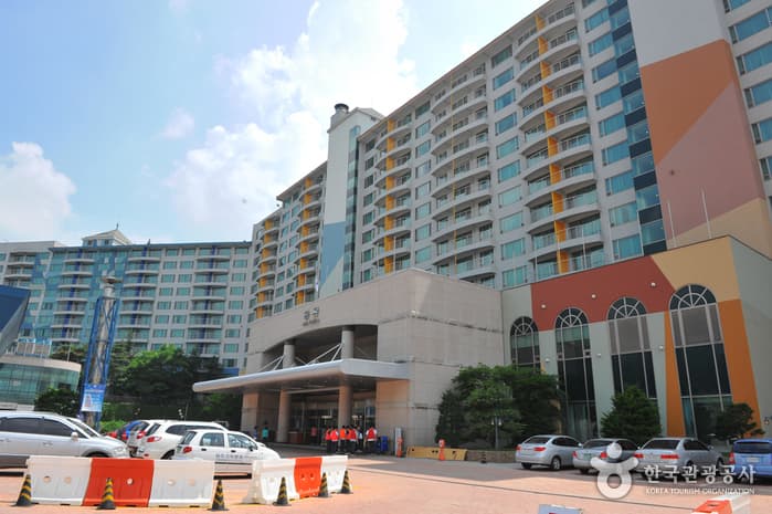 Welli Hilli Park(웰리힐리파크)