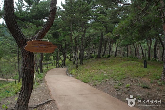 산막이옛길