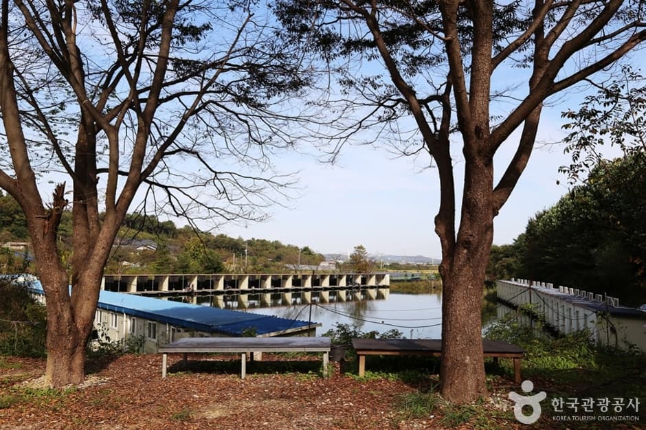 Danggol Fishing Area (당골낚시터)