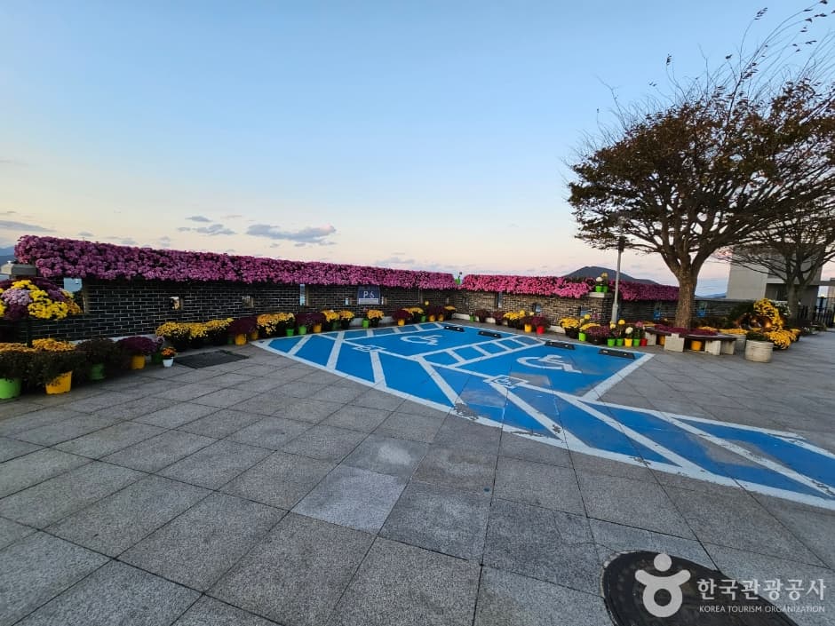 莞岛塔 (완도타워)