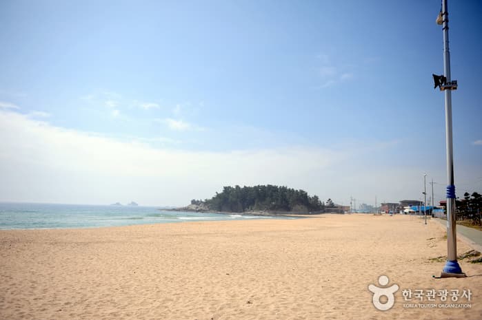 송지호해수욕장