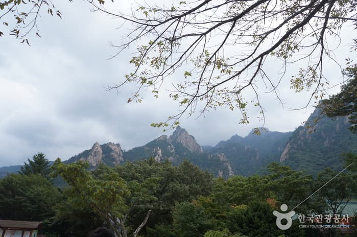 Seorak Special Tourist Zone (설악 관광특구)