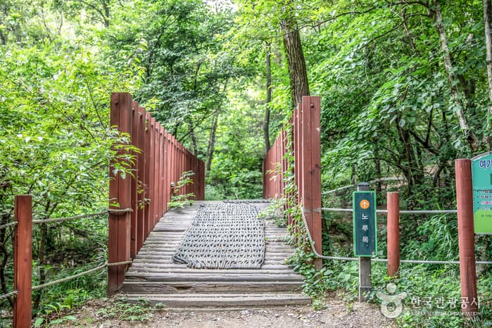 경기_수원_광교산(수원)08