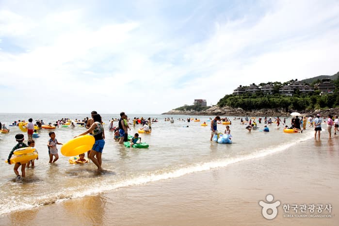 모항갯벌해수욕장_23