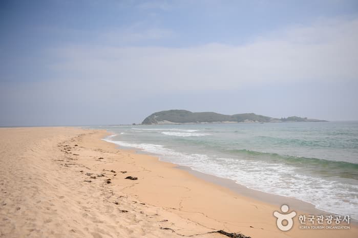 송지호해수욕장