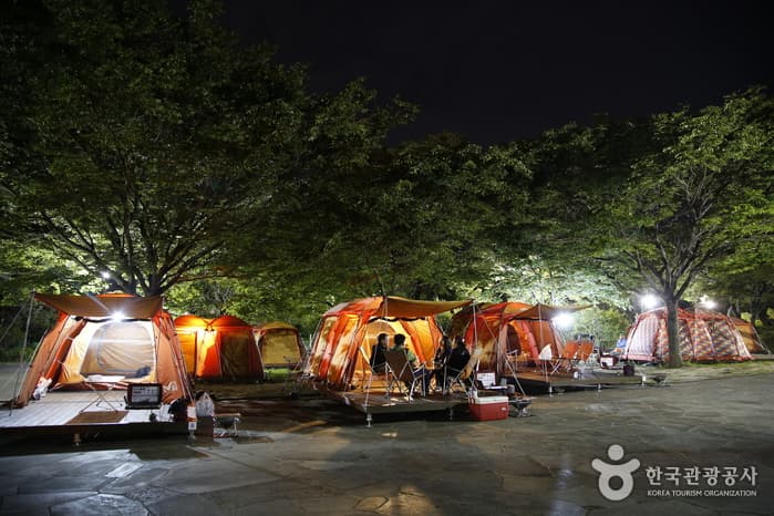 제주_서귀포_중문진실캠핑장11