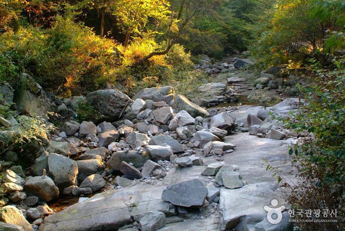 천은사계곡(원주)_01