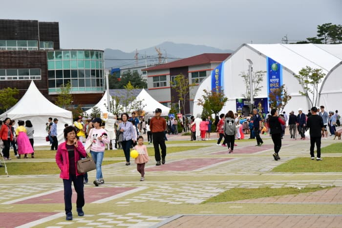 제천국제한방바이오산업엑스포 2017 (12)