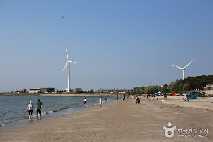 경기_안산_‘갯벌＋수영장’ 여름날 물놀이 종합 세트, 안산 종현어촌체험마을_12