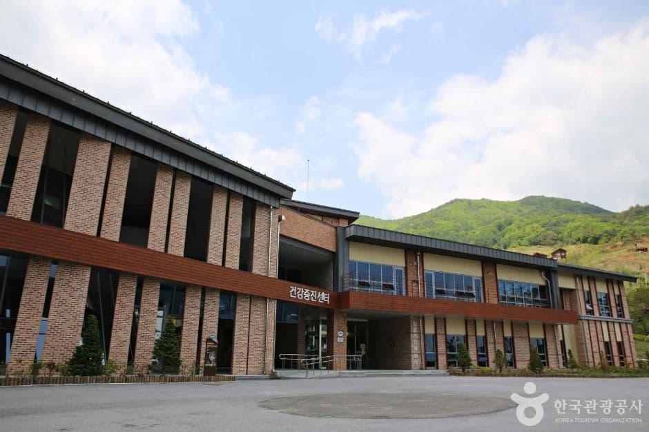 영주_국립산림치유원 (6)